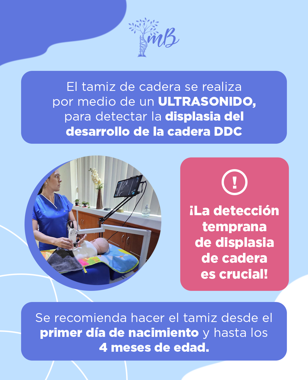 Informacion tamiz de cadera segunda parte