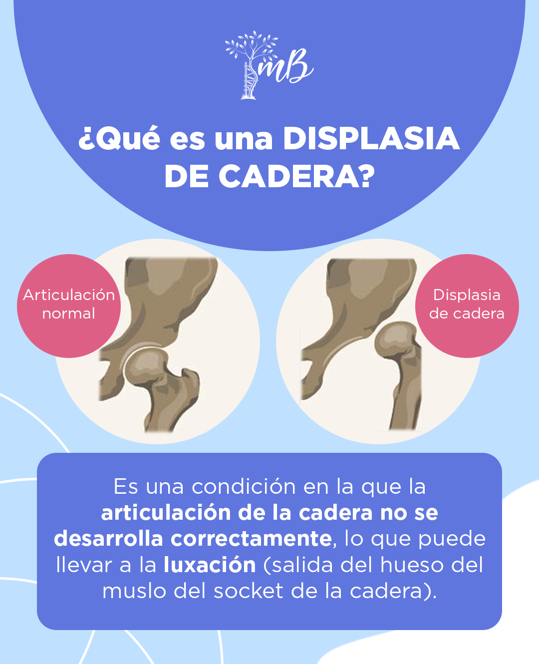 Informacion tamiz de cadera tercera parte